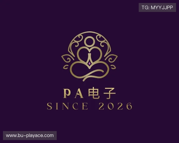关于PA电子
